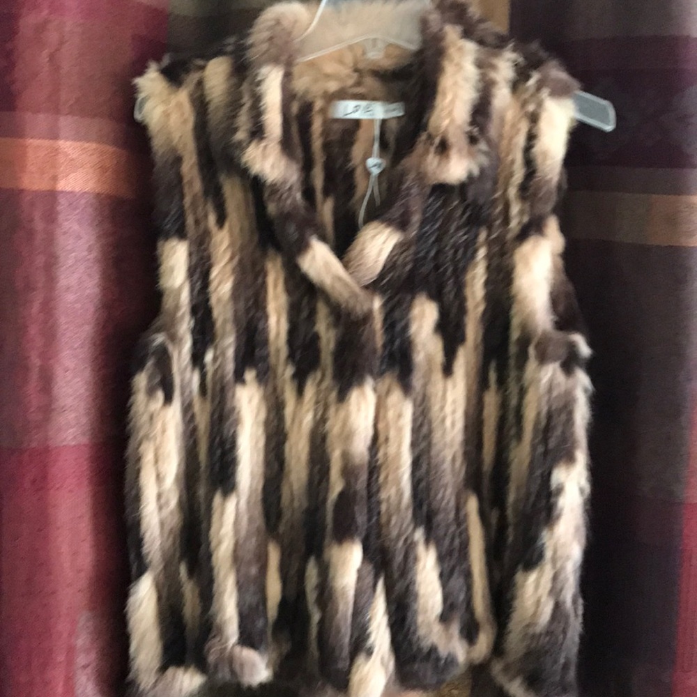 🔽🔽 Fox Vest